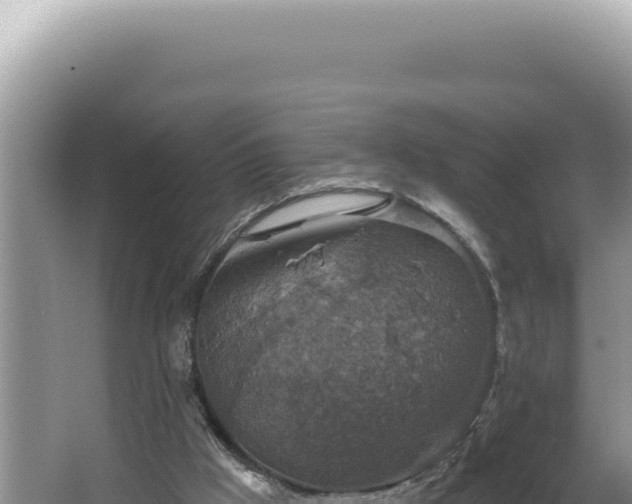 X0000064740009200602131328