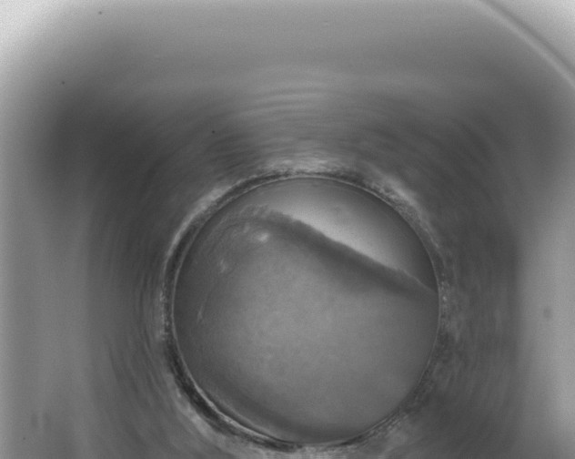 X0000064740012200602131328