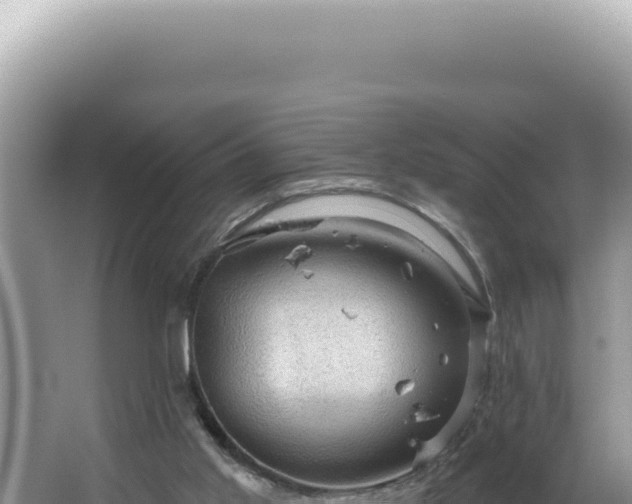 X0000064740013200602131328