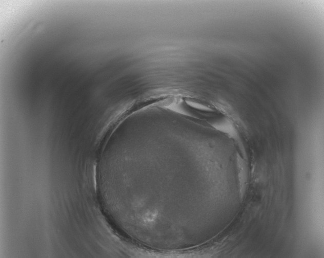 X0000064740014200602131328