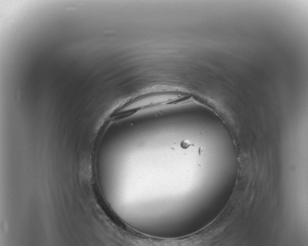 X0000064740015200602131328