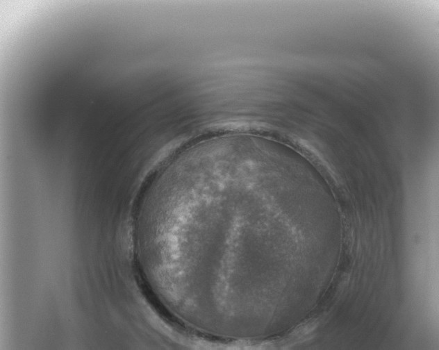 X0000064740016200602131328