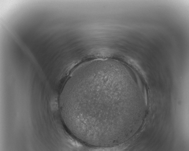 X0000064740017200602131328