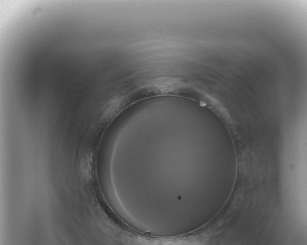 X0000064740018200602131328