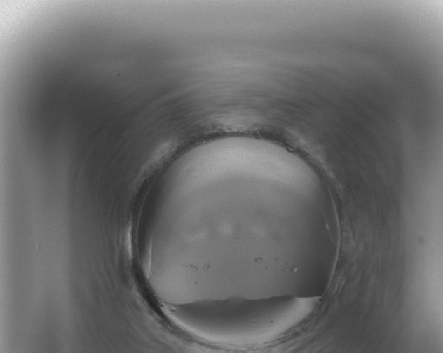 X0000064740019200602131328