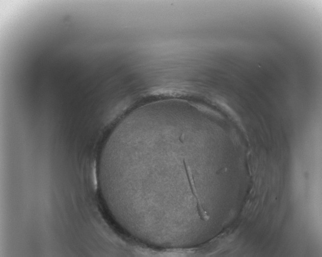 X0000064740020200602131328