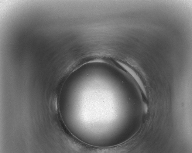 X0000064740021200602131328