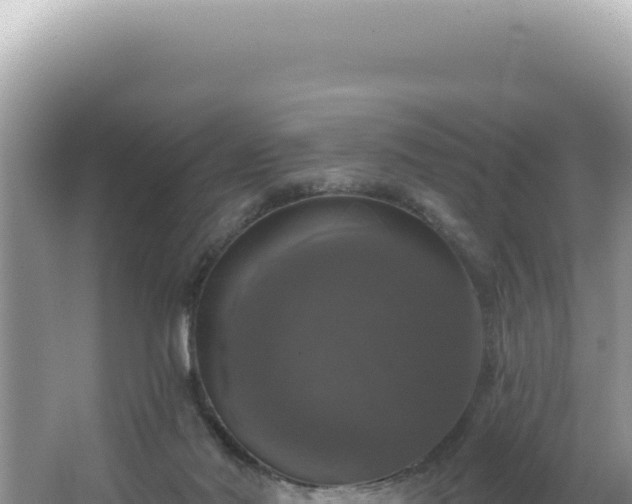 X0000064740022200602131328