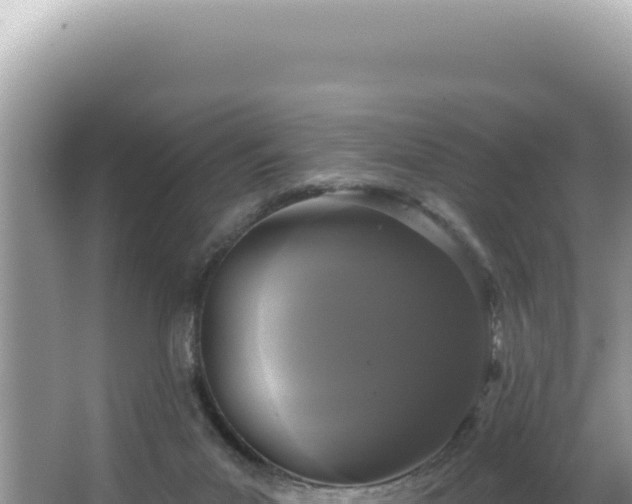 X0000064740023200602131328