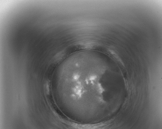 X0000064740026200602131328