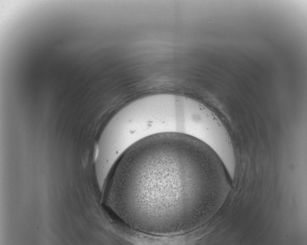 X0000064740027200602131328