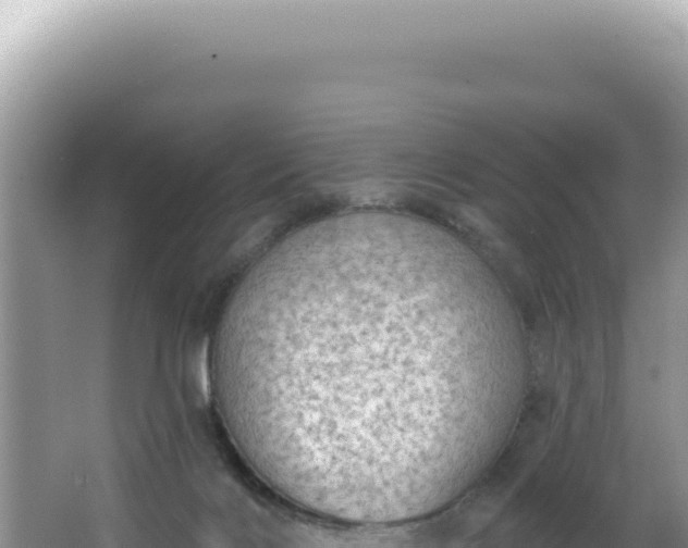 X0000064740028200602131328