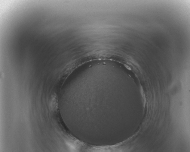 X0000064740029200602131328