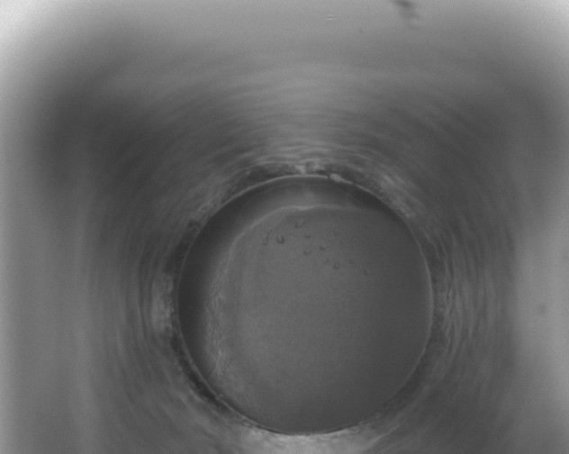 X0000064740030200602131328