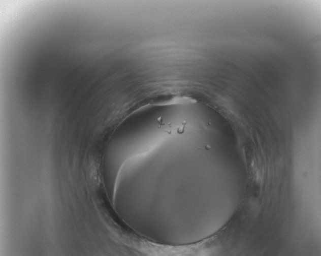 X0000064740031200602131328