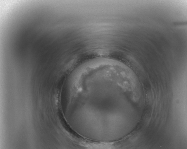 X0000064740032200602131328