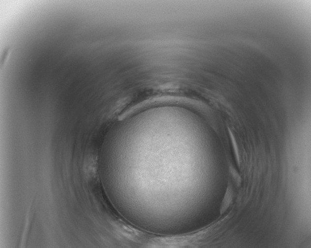 X0000064740033200602131328