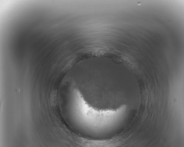 X0000064740034200602131328