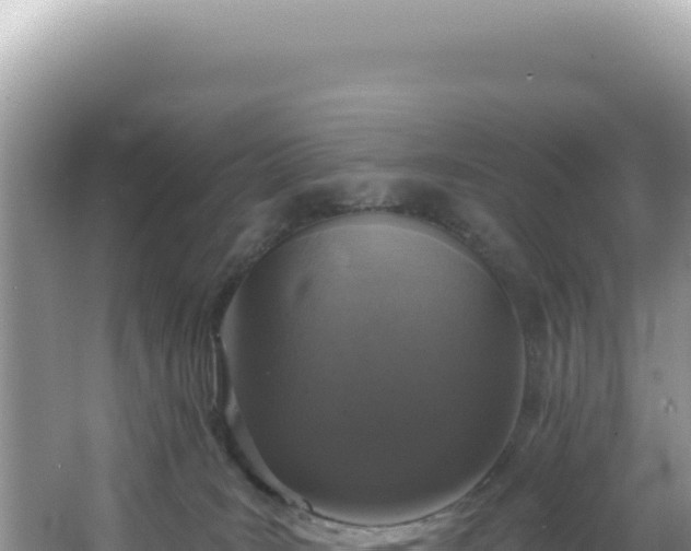 X0000064740035200602131327