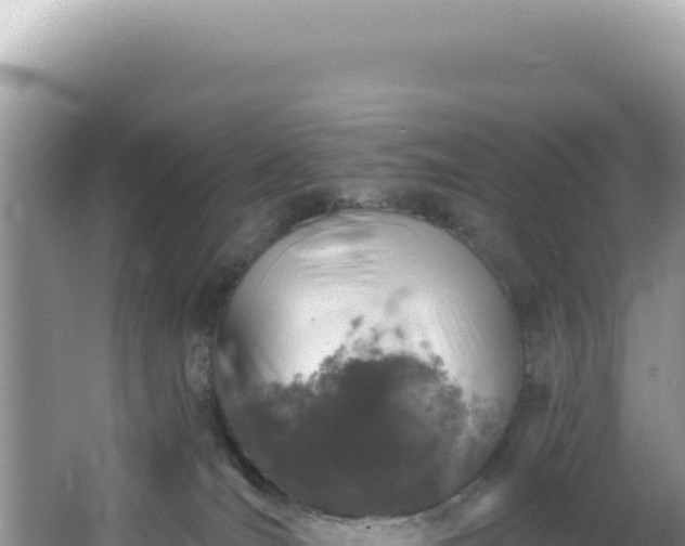 X0000064740036200602131327