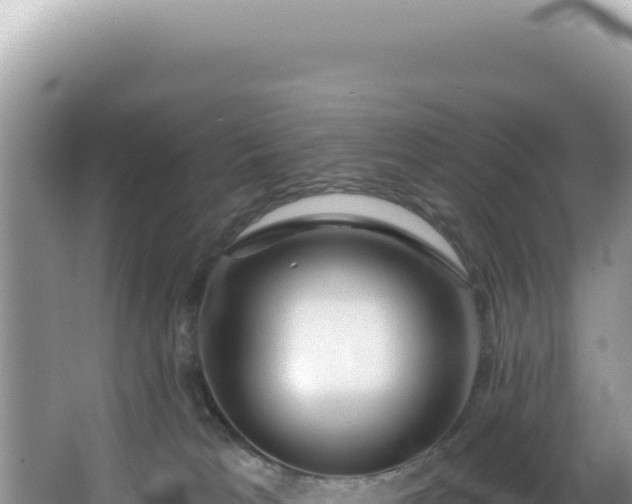 X0000064740037200602131327