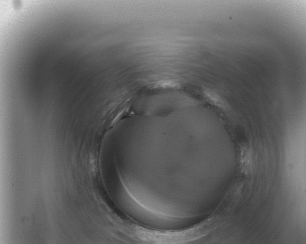 X0000064740039200602131327