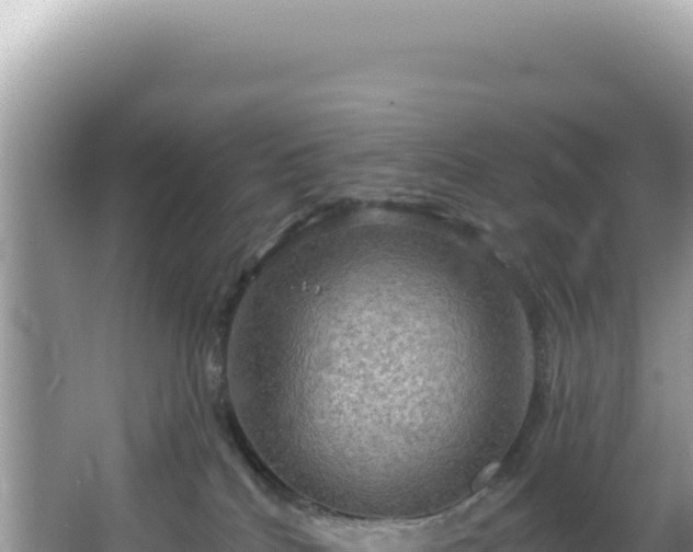 X0000064740040200602131327