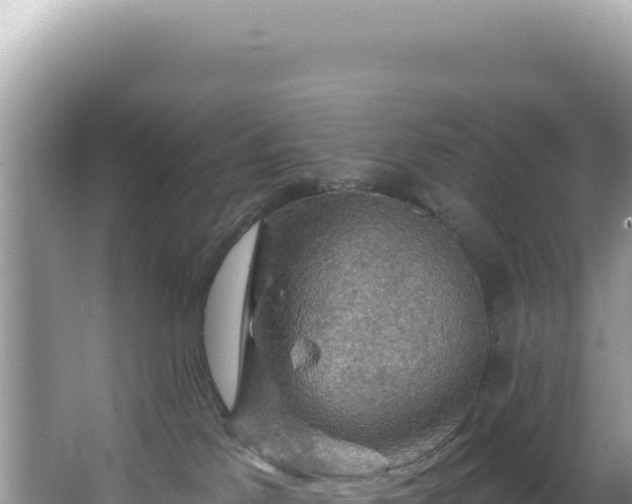 X0000064740041200602131327