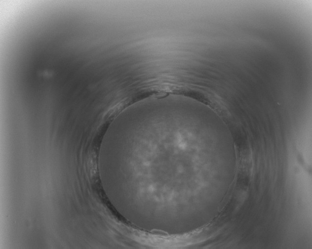 X0000064740043200602131327