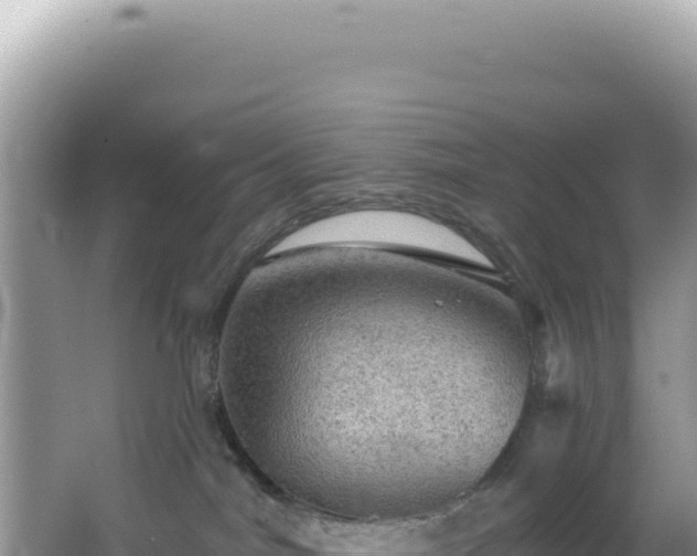 X0000064740044200602131327