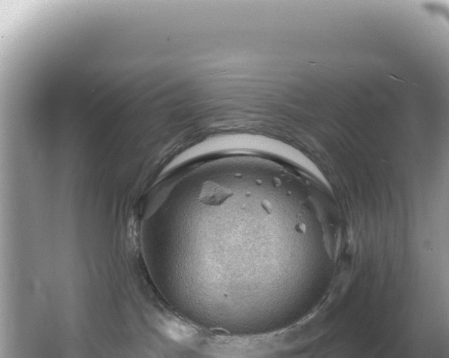 X0000064740045200602131327