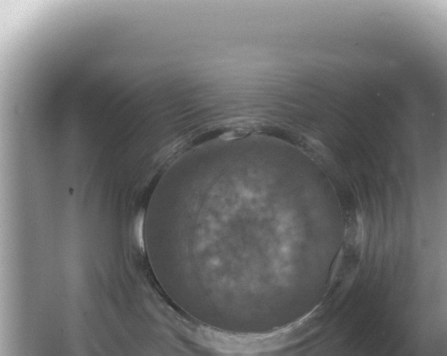 X0000064740047200602131327