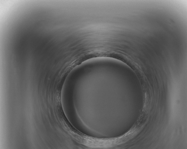 X0000064740048200602131327