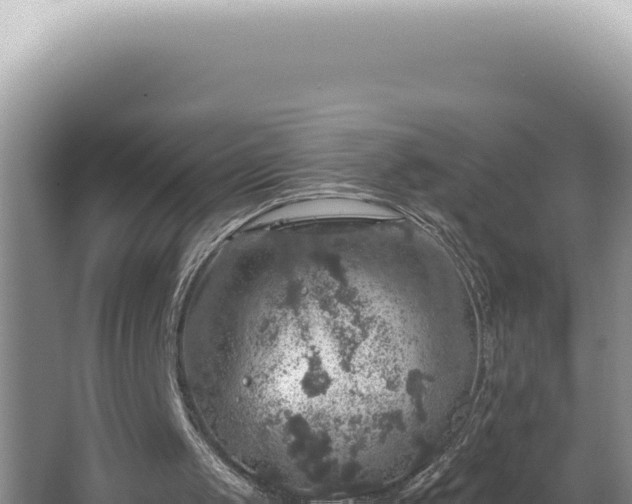 X0000064740049200602131326