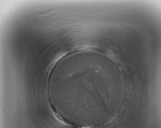 X0000064740050200602131326