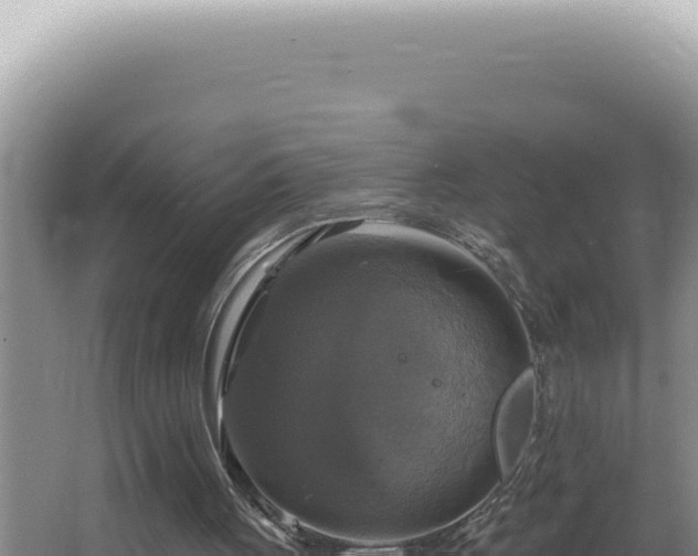 X0000064740051200602131326