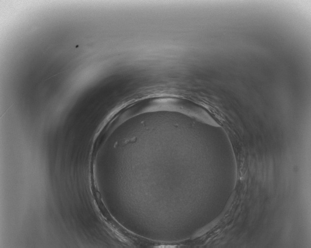 X0000064740052200602131327