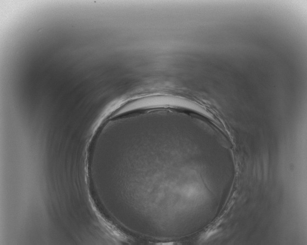 X0000064740054200602131327