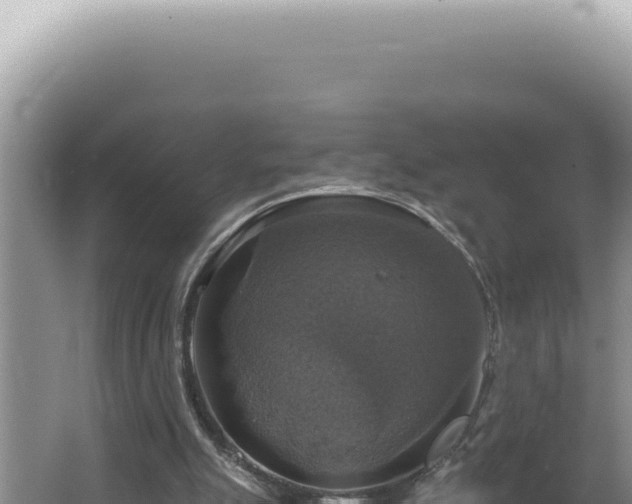 X0000064740055200602131327