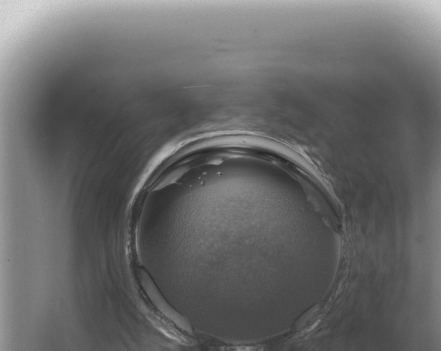 X0000064740056200602131327