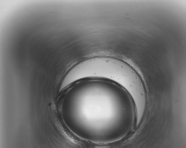 X0000064740057200602131327