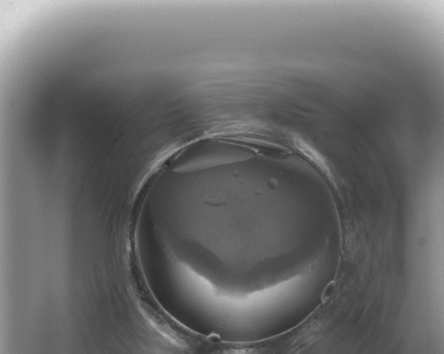 X0000064740059200602131327