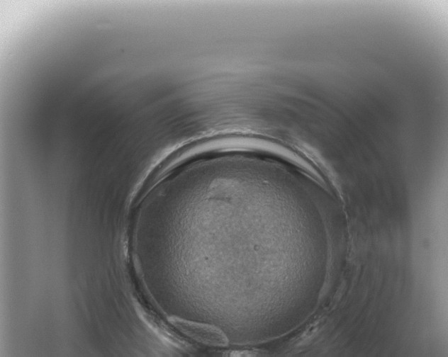 X0000064740060200602131327