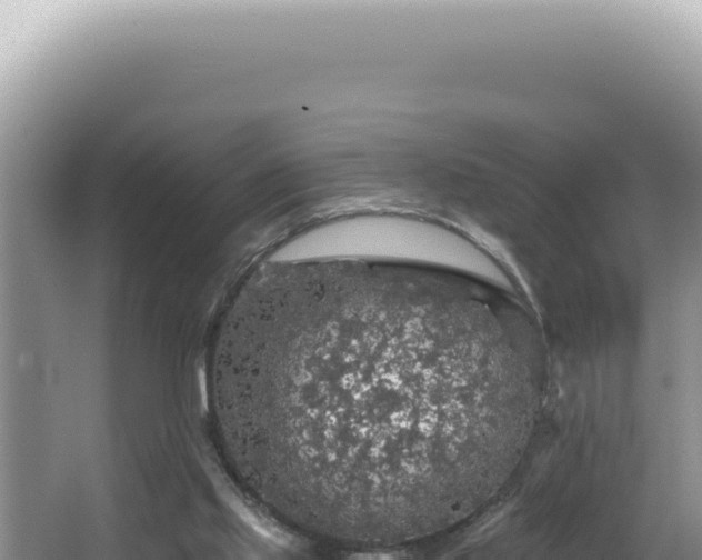 X0000064740061200602131327