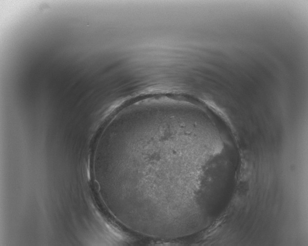 X0000064740062200602131327