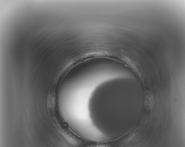 X0000064740063200602131327