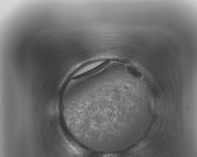 X0000064740064200602131327