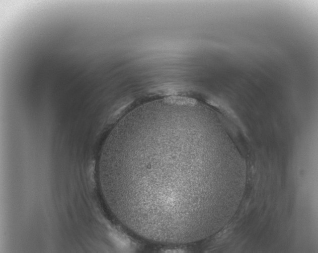 X0000064740066200602131327