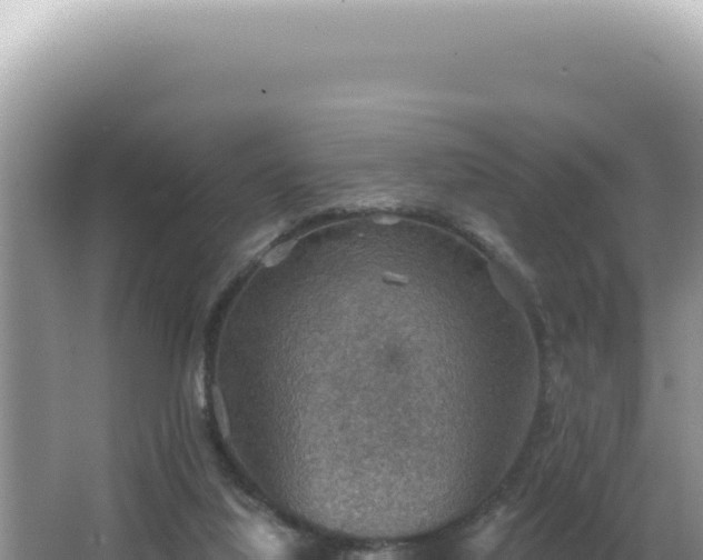 X0000064740068200602131327