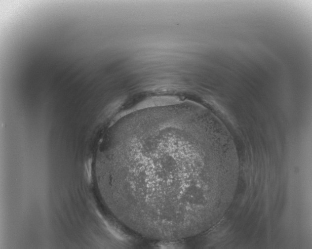 X0000064740070200602131327